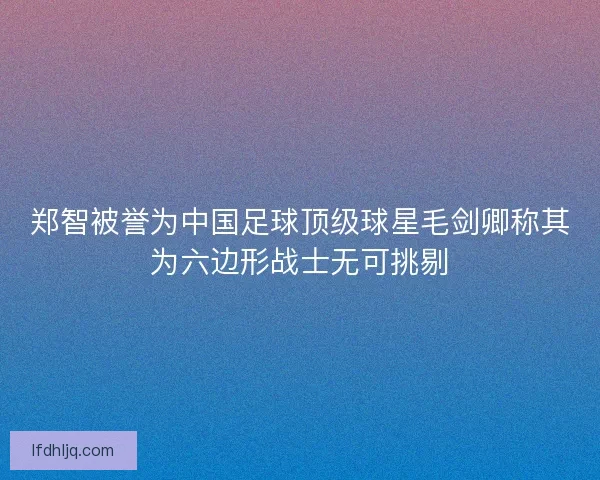 郑智被誉为中国足球顶级球星毛剑卿称其为六边形战士无可挑剔